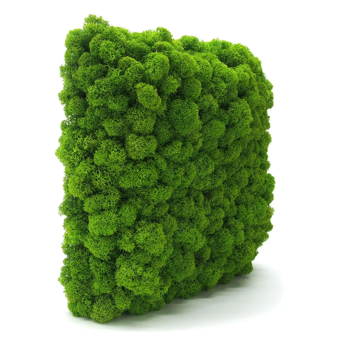 Rendeer moss wall panel